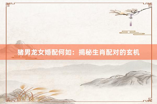 猪男龙女婚配何如：揭秘生肖配对的玄机